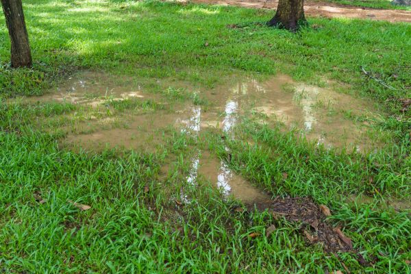 Cost of Storm Water Drainage Service in Concord