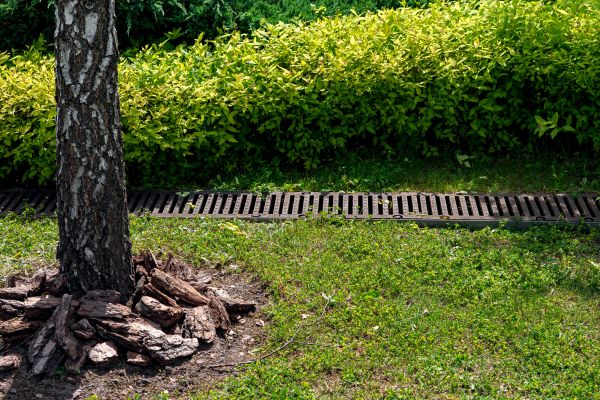 Cost of Wet Yard Drainage in Concord