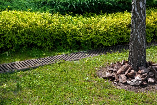 Cost of Residential Landscape Drainage in Concord