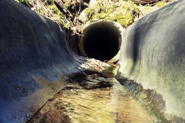 Cost of Drainage Swale Installation in Concord