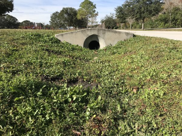 Cost of Swale Drainage Service in Concord