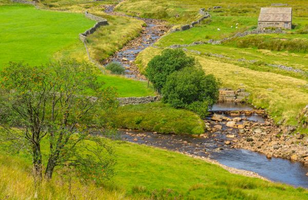 Cost of Swale Repair in Concord